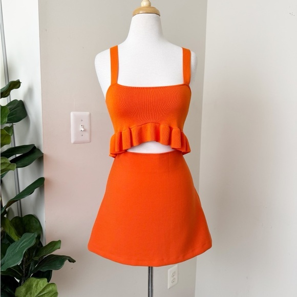Zara Dresses & Skirts - Orange cropped Top